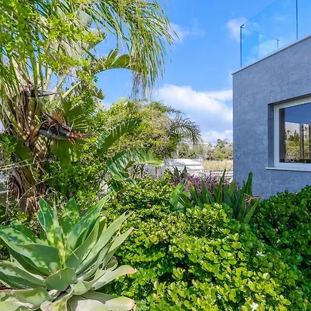 Вилла Nissi Palm 22 With Private Pool Айя-Напа
